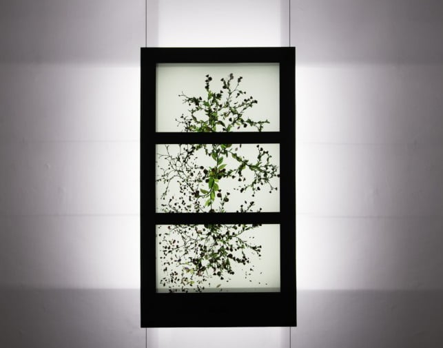 transparent stained window