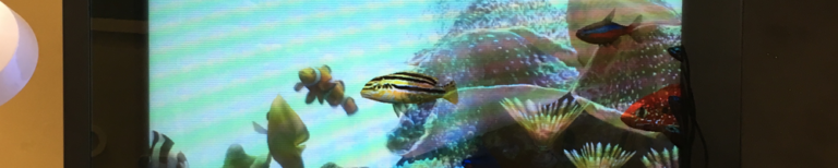 TRANSPARENT 3dp header