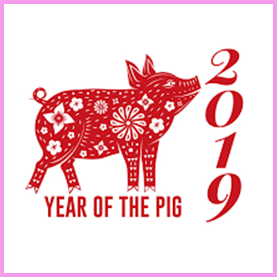 CDS year of the pig 2019