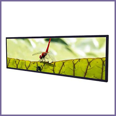 cds 49.5 inch ultra wide display