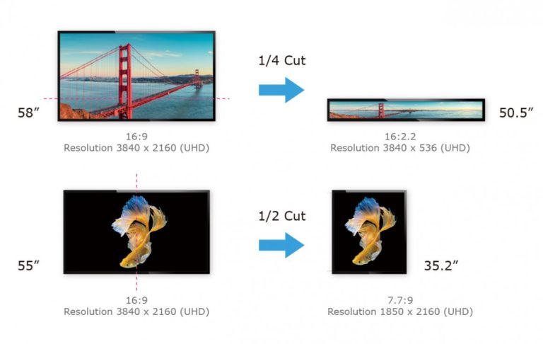 cds cutting displays