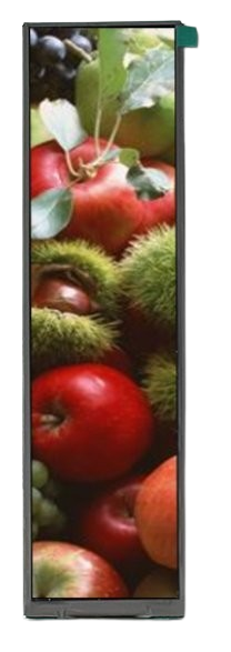 8.9” Bar Type Portrait TFT for Industrial Wide Temp Applications